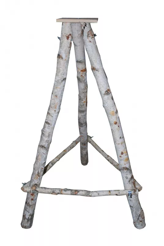 3 Bein Birkenständer 6-8 FSC 100